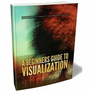 A Beginners Guide to Visualization